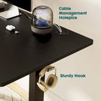 Bureau debout électrique réglable en hauteur, 3 préréglages de mémoire, Trous de gestion des câbles, Crochets latéraux, Capacité de 80 kg, Marron / Blanc / Noir / Naturel, Utilisation par 1 personne